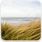Tanjas Pacing icon