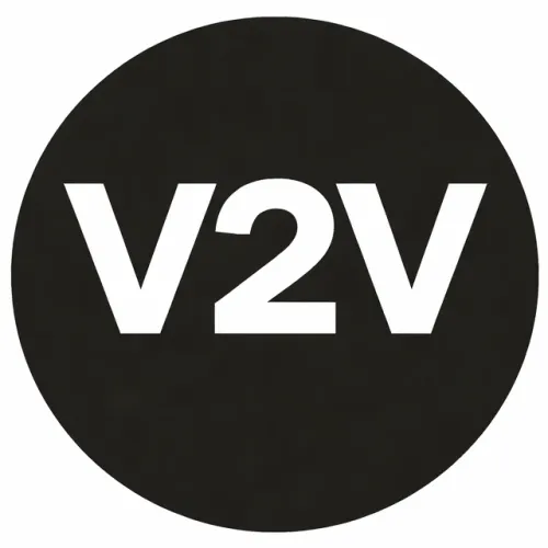 vibe2value icon