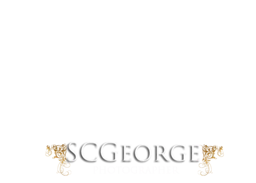 scgeorge1.com icon