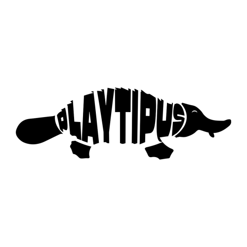 Playful Passage icon