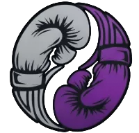 Conversations with Aisling icon