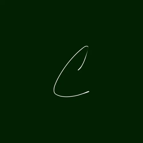 The Conlon Post icon