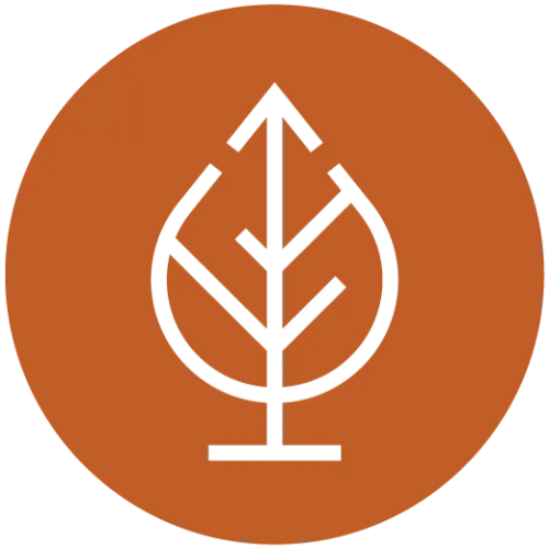 NoTies Consulting icon