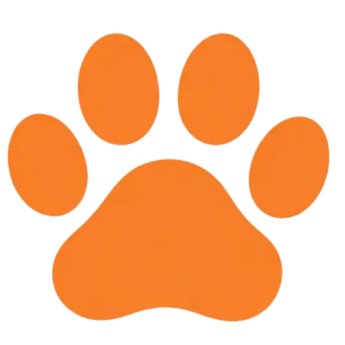 Sweet Diggie Doo icon