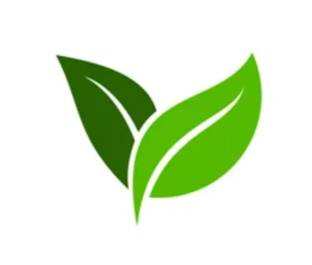 Vestmint icon
