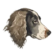 Hesti icon