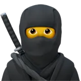 Digital Ninja icon