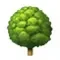 Bučci 🌳 icon