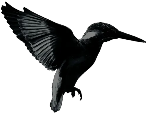 M. W. B. Kingfisher icon