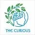 The Curious icon