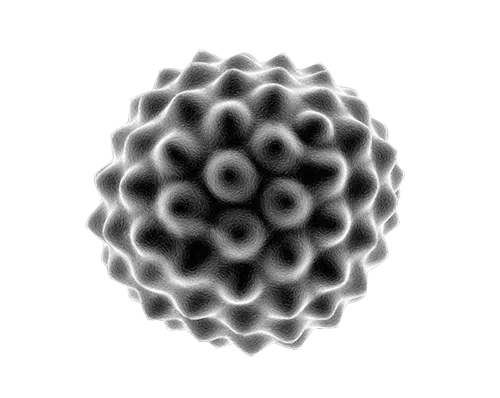 WHAT THE DEAD CAN SAY icon