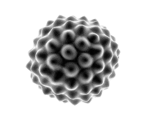 WHAT THE DEAD CAN SAY icon