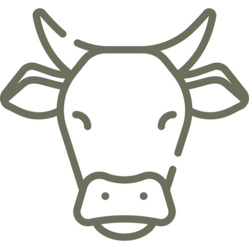 Homestead Herds icon