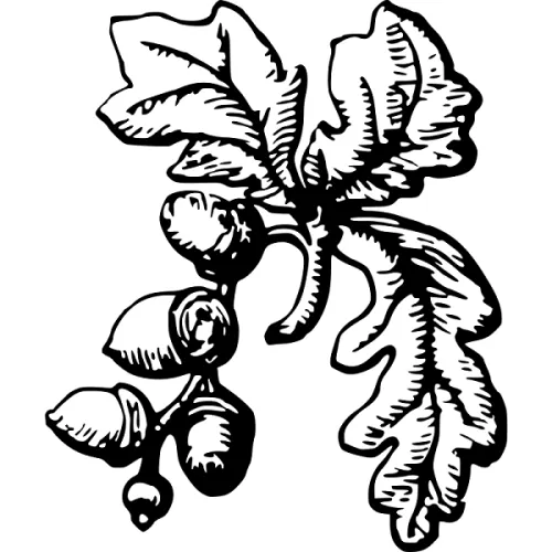 Sarah I Jackson icon