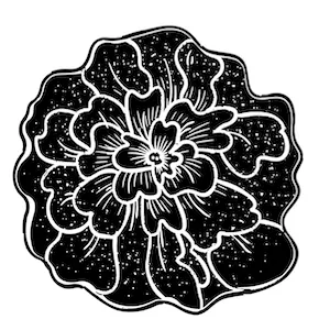 The Reframery icon