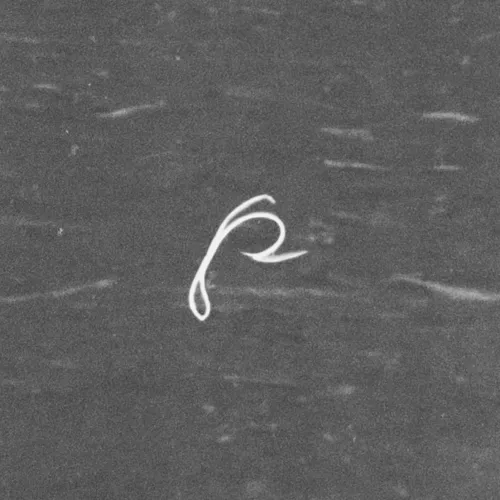 Middle Way Cinema icon