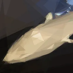Whale Bytes icon