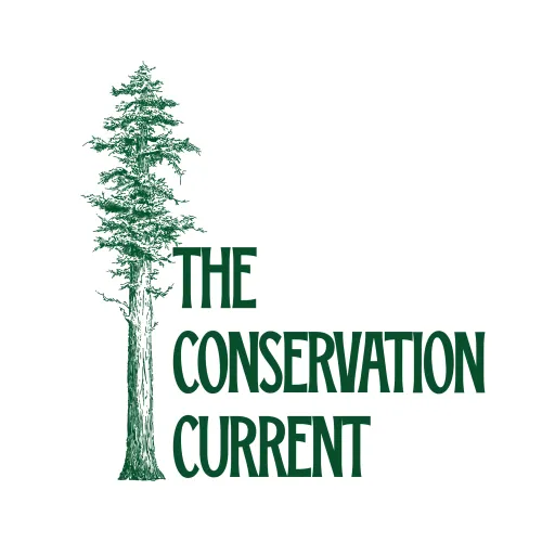 The Conservation Current icon