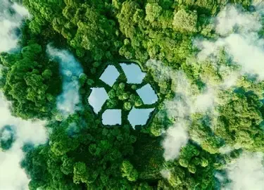 recycl'Actu icon