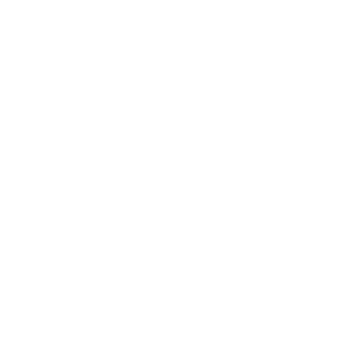 journal.cardone icon