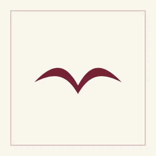 Formation Falcon icon