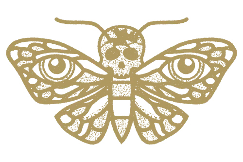 Heavy Blog is Heavy icon