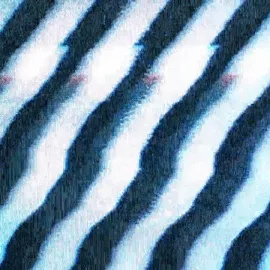 Analog Aesthetics icon