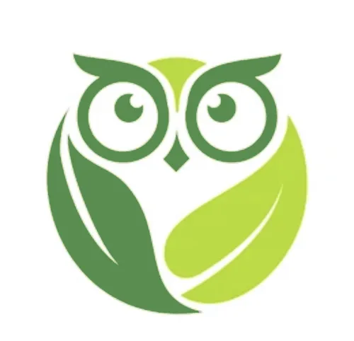 Owl in America icon