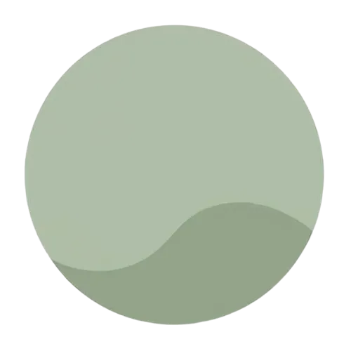 Alessandro Belli icon