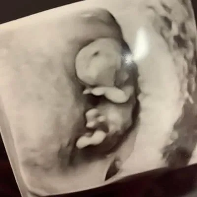 into the rookery icon