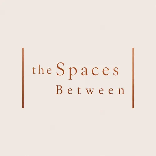 The Spaces Between icon