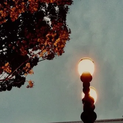 The Dead Letter Department icon