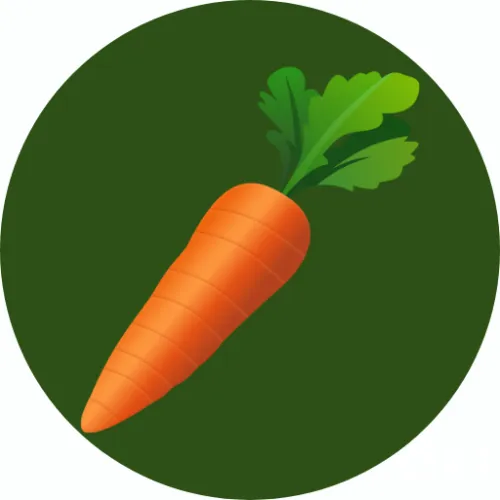 🥕 Organic Food Together 🥕 icon