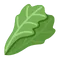 Cruciferous Greens icon
