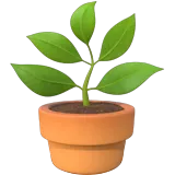 Sam's Plants icon