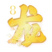 8龙 GLOBAL icon