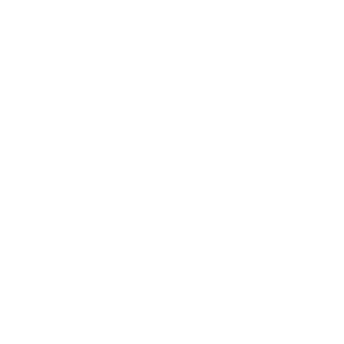 ONE VOICE icon