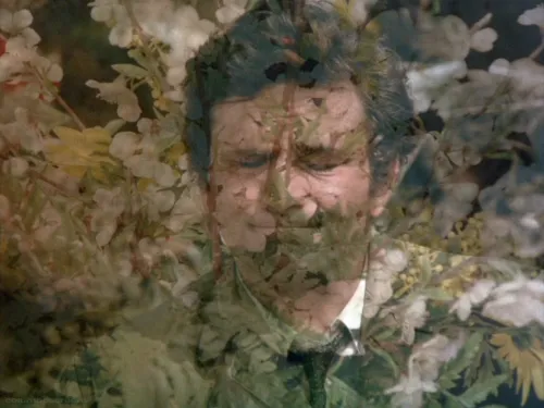 Đorđe’s site icon