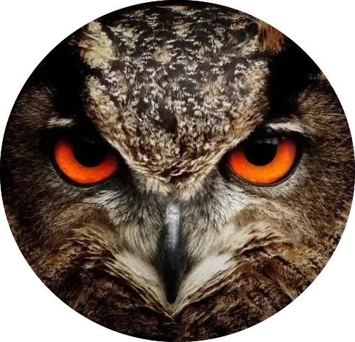 Lovci na baterije icon