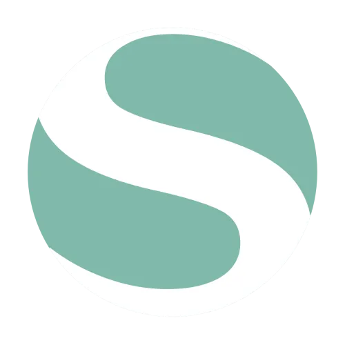 Stephan Morand · Digital Consultant Developer icon