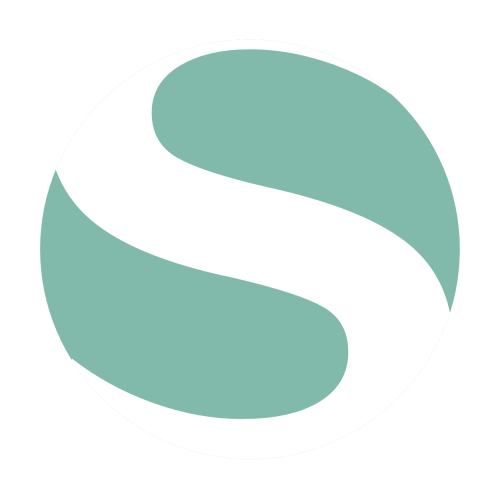 Stephan Morand · Digital Consultant Developer icon