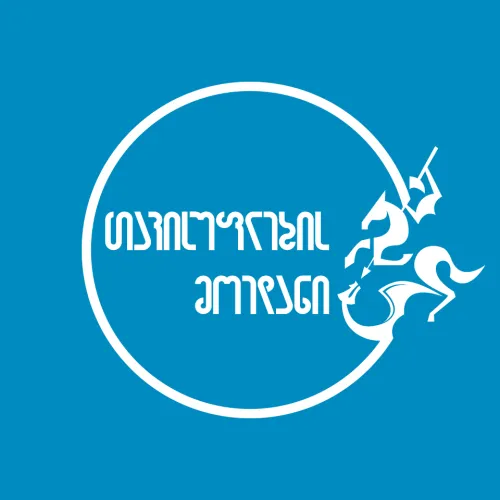 თავისუფლების მოედანი icon