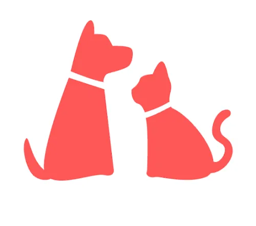 Anisoins Québec icon