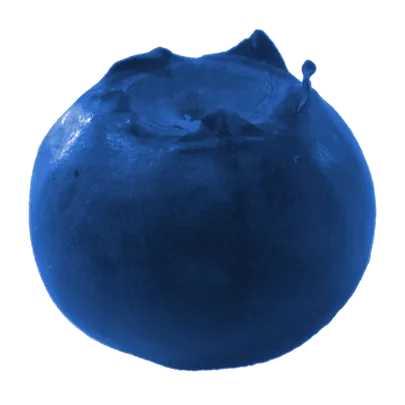 Information Equilibrium icon