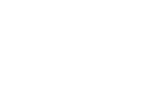 Strategic Nerds icon