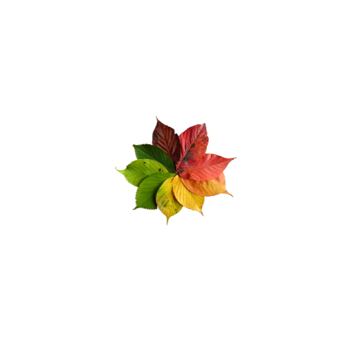 RODA DA INFÂNCIA icon