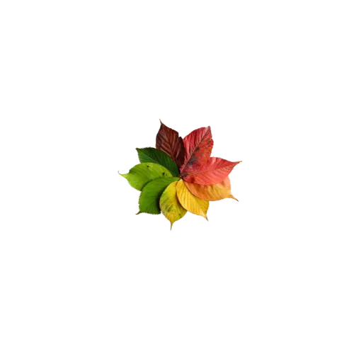 RODA DA INFÂNCIA icon