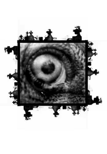 Book of Illumine icon