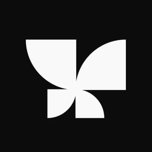 Braun icon