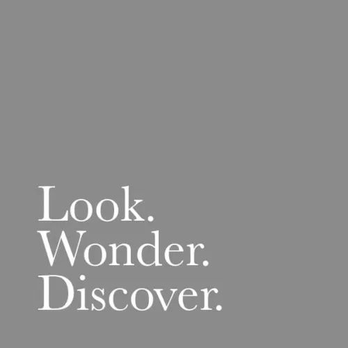 Look Wonder Discover | Community icon